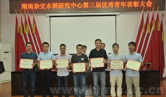 国家杂交水稻工程技术研究中心 以卓越技术服务赋能现代农业发展